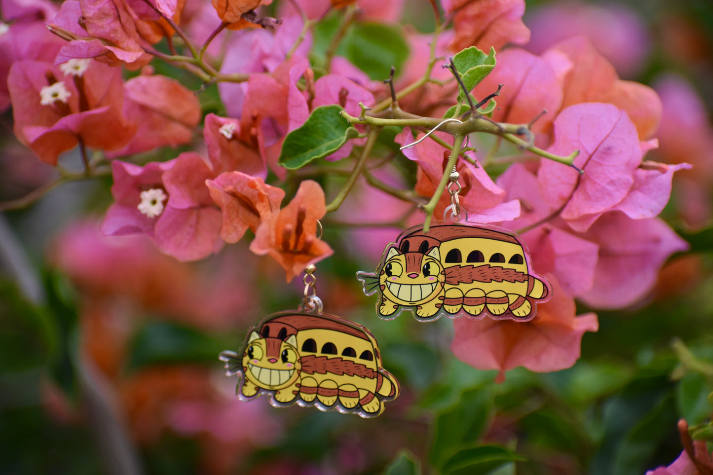 Catch the Catbus
