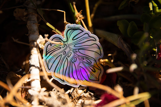 Holographic leaf-shaped sticker on a natural background