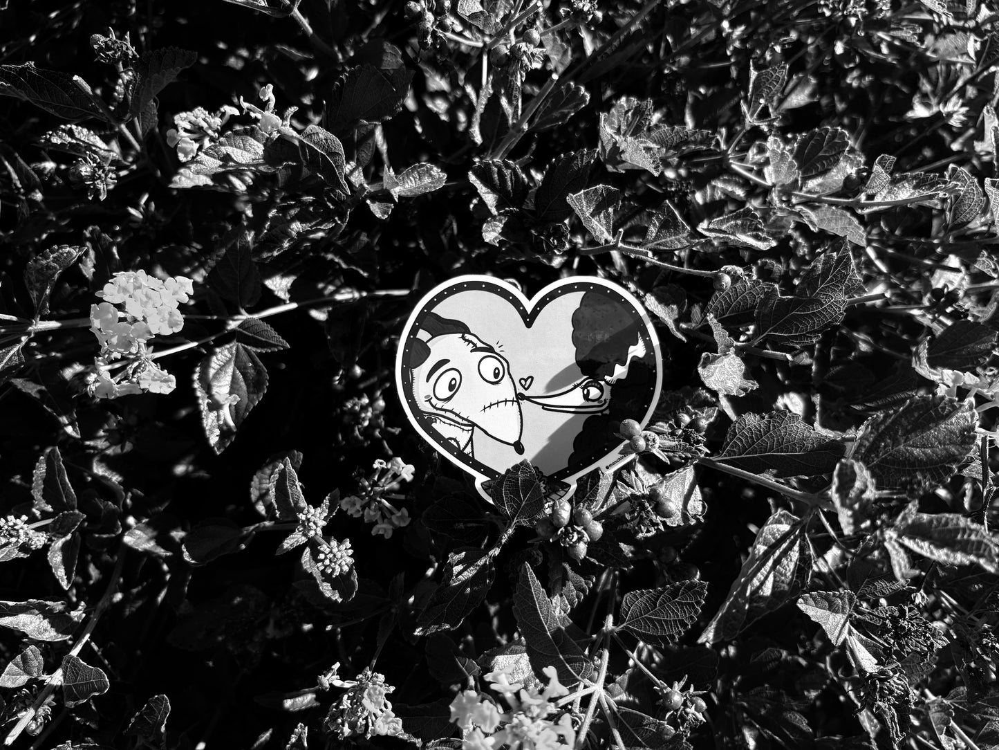 Sparky's Love