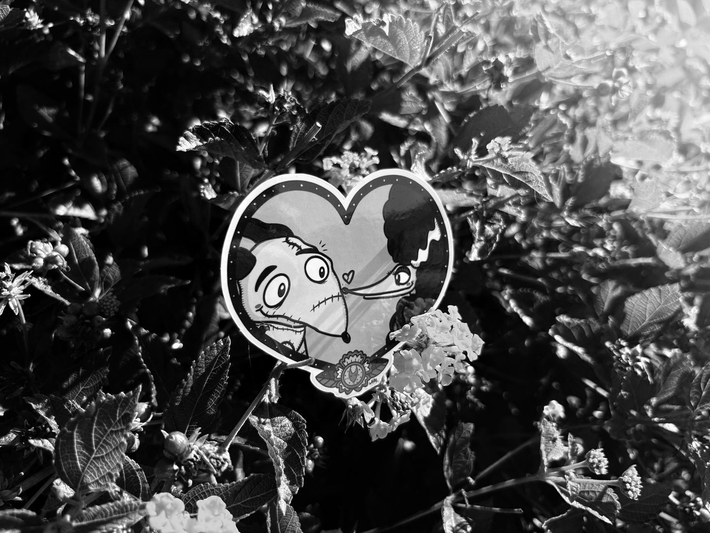 Sparky's Love