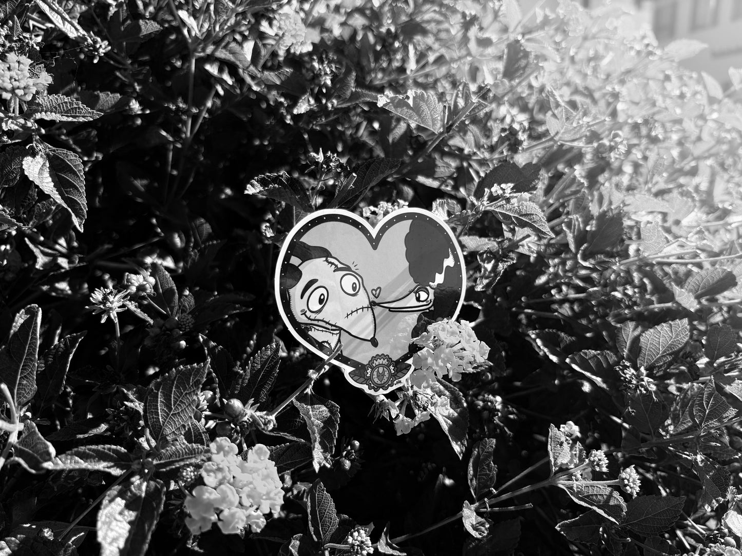 Sparky's Love
